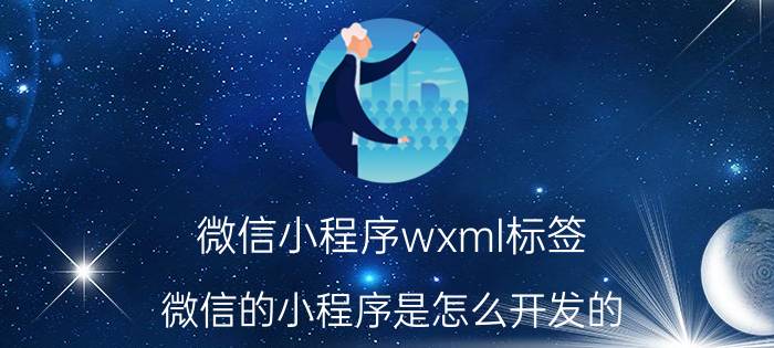 微信小程序wxml标签 微信的小程序是怎么开发的？